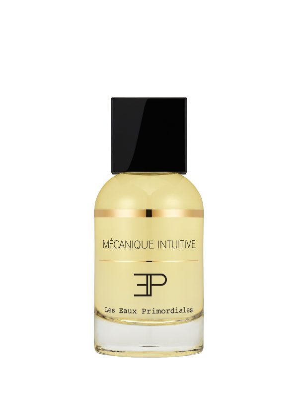 Mecanique Intuitive - Les Eaux Primordiales