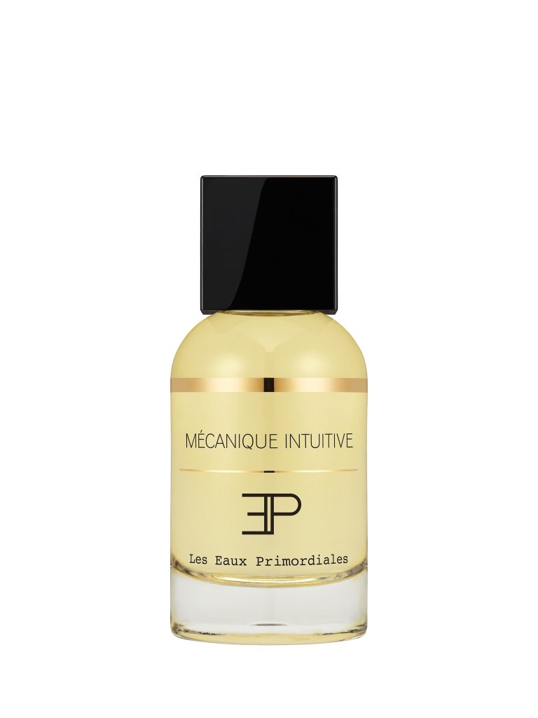 Mecanique Intuitive - Les Eaux Primordiales