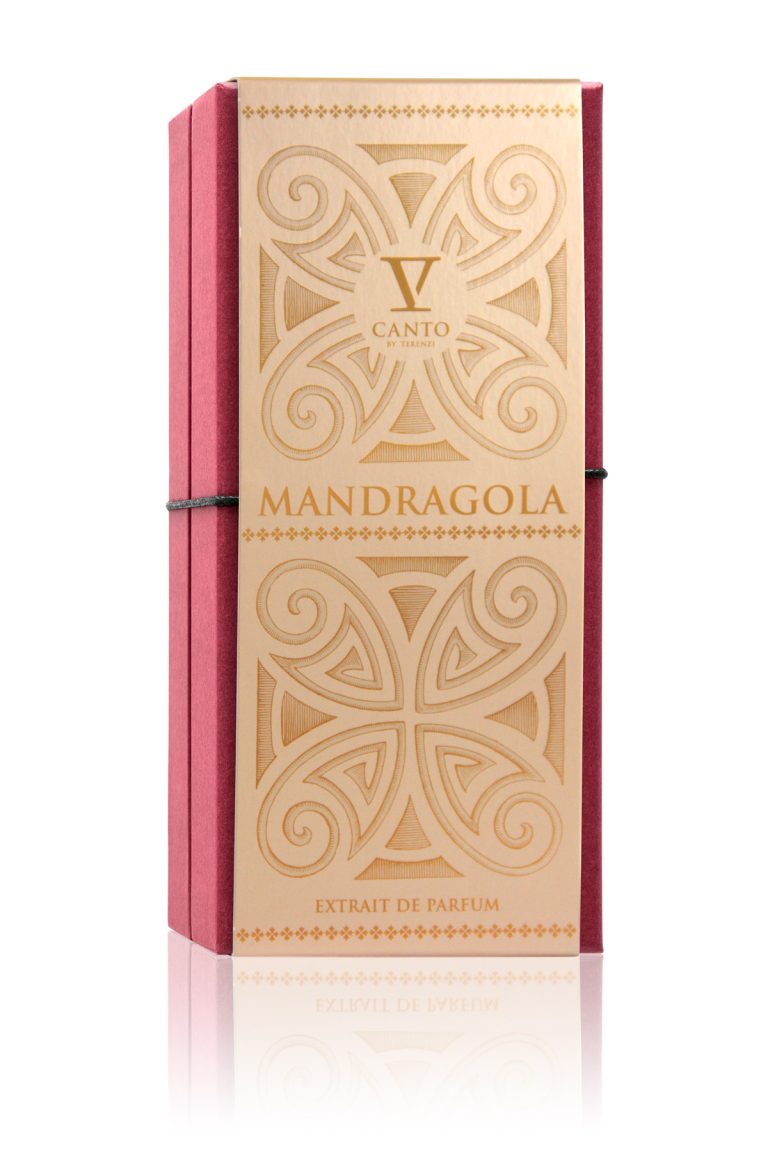 V Canto Mandragola 2